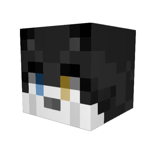 blackmooon Minecraft avatar head, 3D render