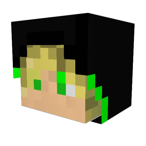blackmoscito Minecraft avatar head, 3D render