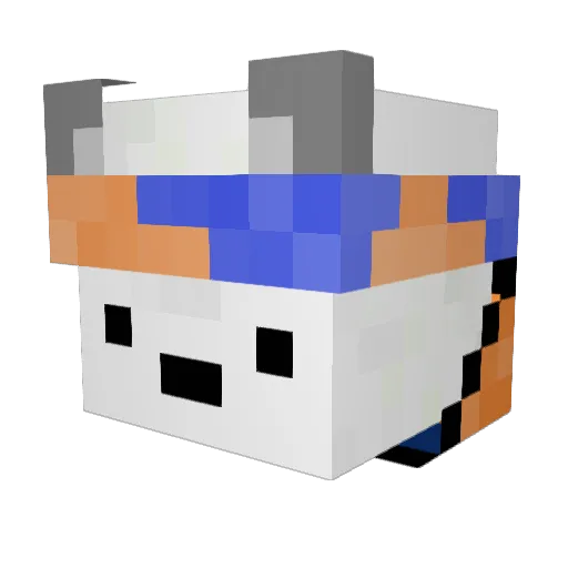 blacknubi Minecraft avatar head, 3D render