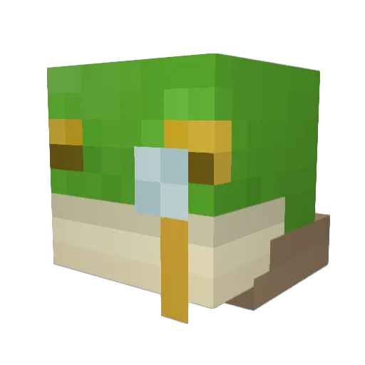 blacknwhy Minecraft avatar head, 3D render
