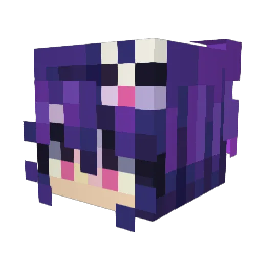 blacko_san Minecraft avatar head, 3D render