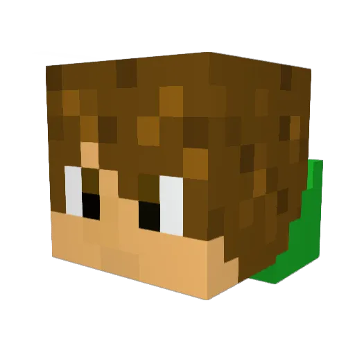 blackops157 Minecraft avatar head, 3D render