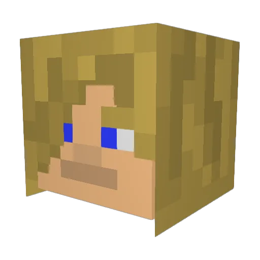 blackops5858 Minecraft avatar head, 3D render
