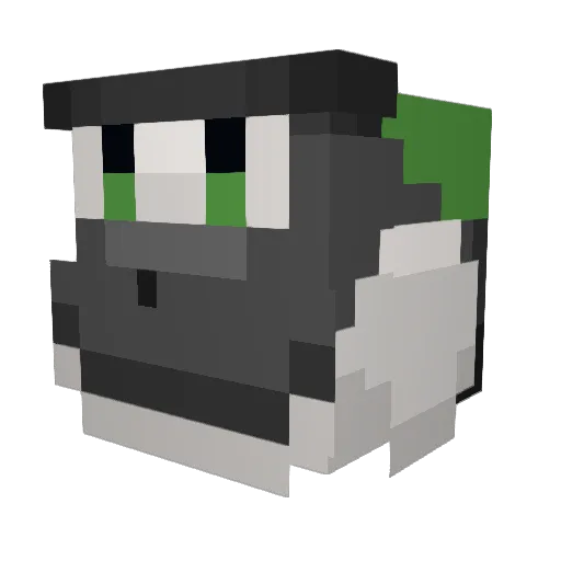 blackopskoopa Minecraft avatar head, 3D render