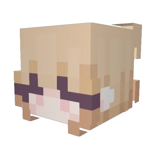 blackos2street Minecraft avatar head, 3D render