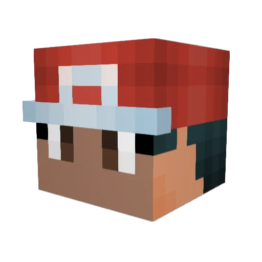 blackpanther974 Minecraft avatar head, 3D render