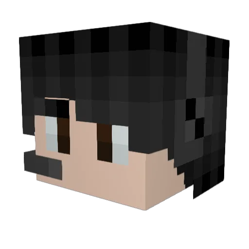 blackpanther995 Minecraft avatar head, 3D render