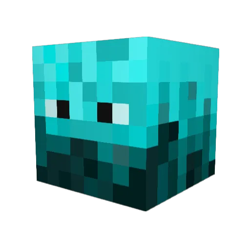 blackpenter06 Minecraft avatar head, 3D render