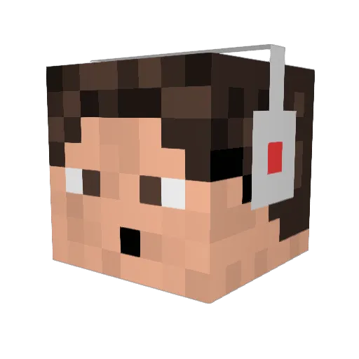 blackpig22 Minecraft avatar head, 3D render