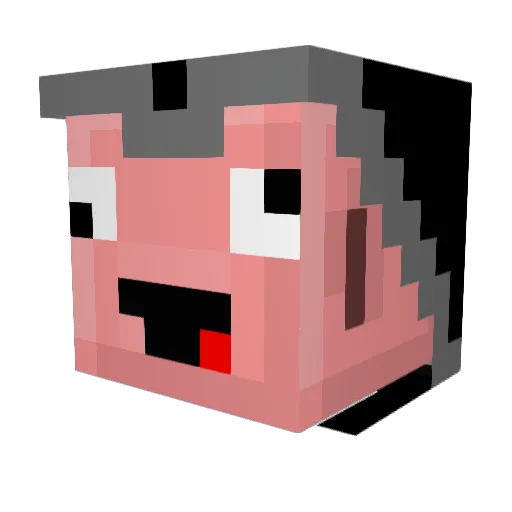 blackpiggy8 Minecraft avatar head, 3D render