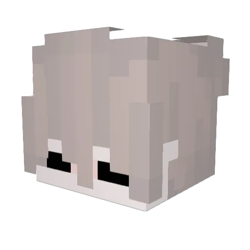 blackraftYT Minecraft avatar head, 3D render