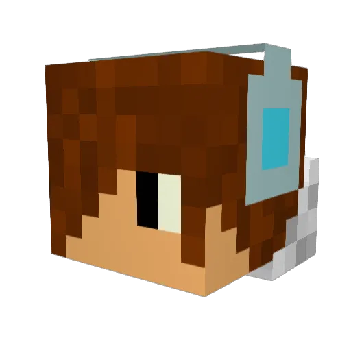 blacksp3ll Minecraft avatar head, 3D render