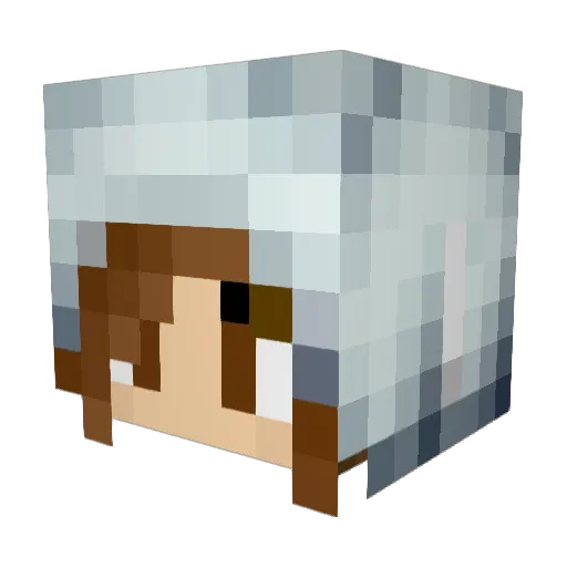 blackspots99 Minecraft avatar head, 3D render