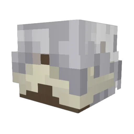blackstormeric Minecraft avatar head, 3D render