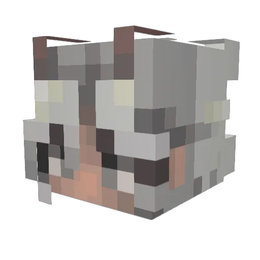 blackwhiterose0 Minecraft avatar head, 3D render