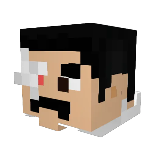 blackwolf217 Minecraft avatar head, 3D render