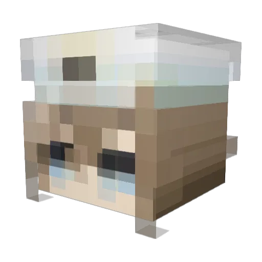 blackyolo7770 Minecraft avatar head, 3D render