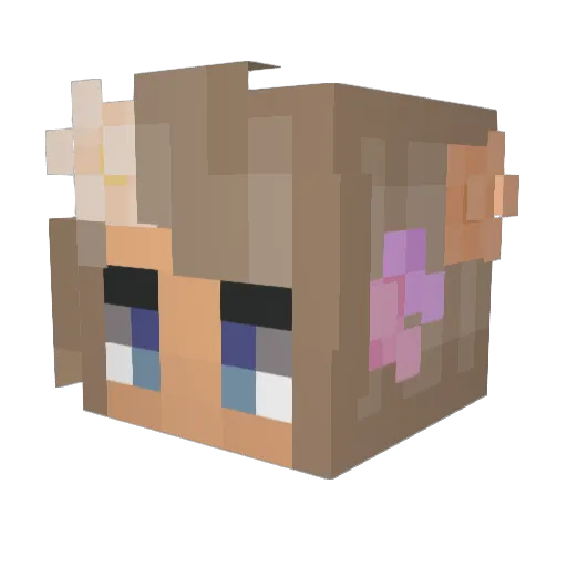 bladderspazzer Minecraft avatar head, 3D render