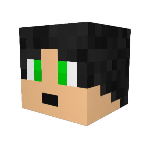 blader2411 Minecraft avatar head, 3D render