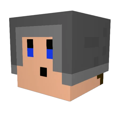 blah42 Minecraft avatar head, 3D render
