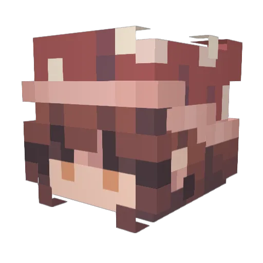 blahnche Minecraft avatar head, 3D render