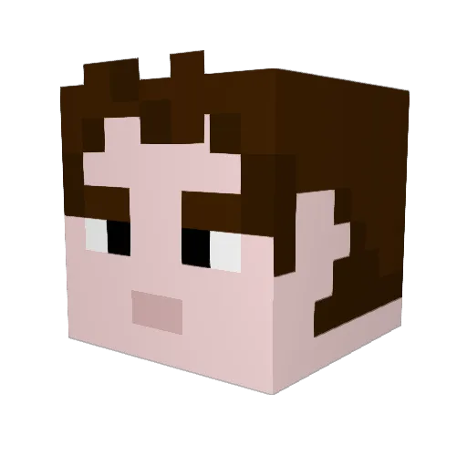 blaineanderswagg Minecraft avatar head, 3D render