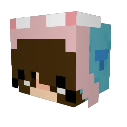 blaineybearrrr Minecraft avatar head, 3D render