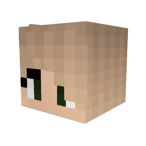 blairendsn Minecraft avatar head, 3D render