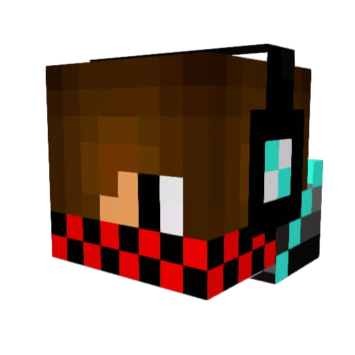 blaka007 Minecraft avatar head, 3D render