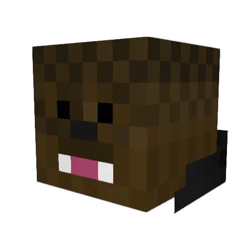 blakecoffey13 Minecraft avatar head, 3D render