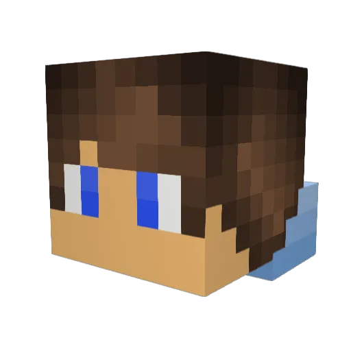 blakecraft0629 Minecraft avatar head, 3D render