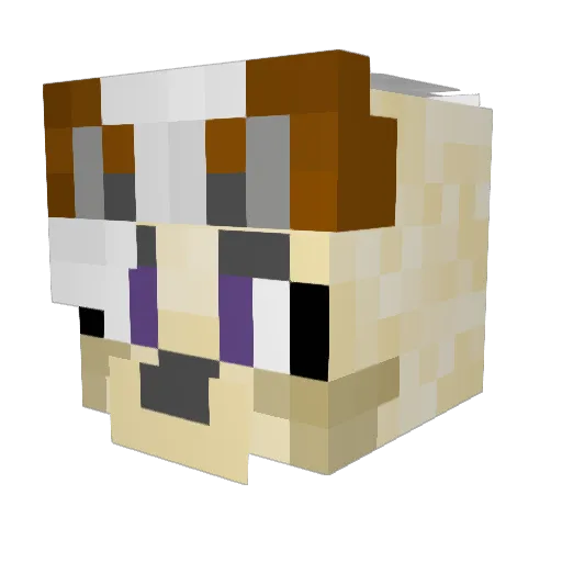 blakeuwu Minecraft avatar head, 3D render
