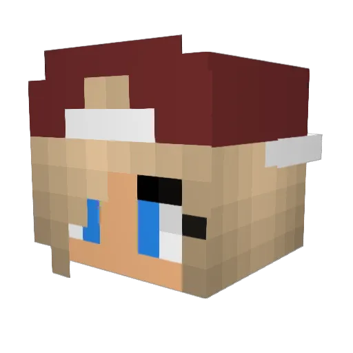blakewhite1234 Minecraft avatar head, 3D render