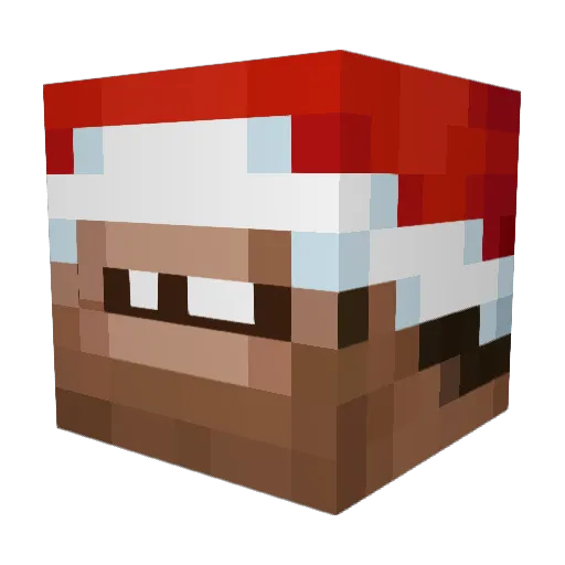 blakname Minecraft avatar head, 3D render