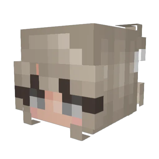 blancasom Minecraft avatar head, 3D render