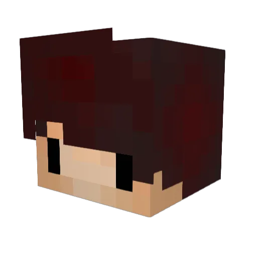 blank1sh Minecraft avatar head, 3D render