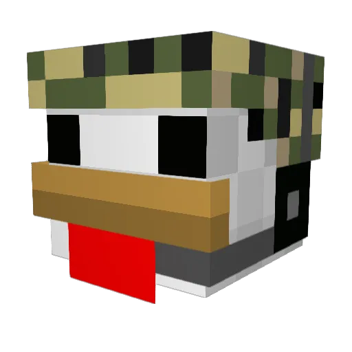 blank9000 Minecraft avatar head, 3D render