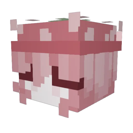 blank_shir0 Minecraft avatar head, 3D render