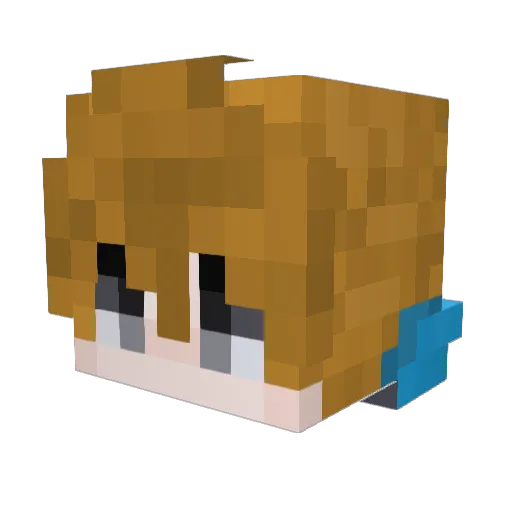blany1234 Minecraft avatar head, 3D render