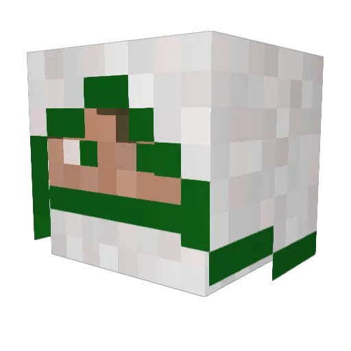 blasini Minecraft avatar head, 3D render