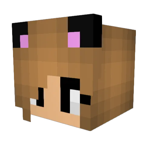 blastof77245 Minecraft avatar head, 3D render
