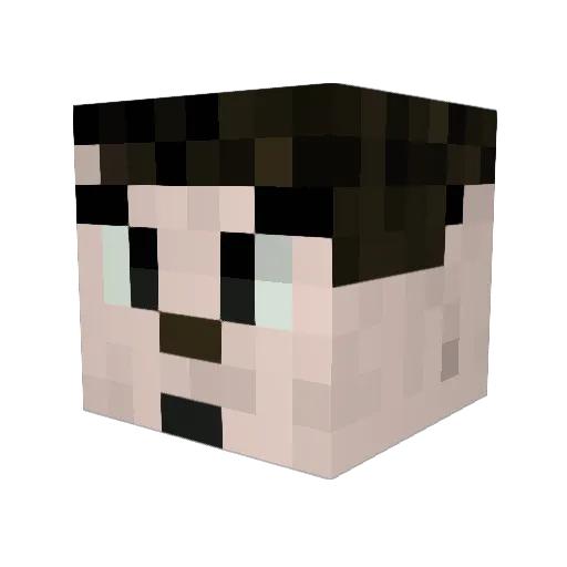 blastoff4444 Minecraft avatar head, 3D render