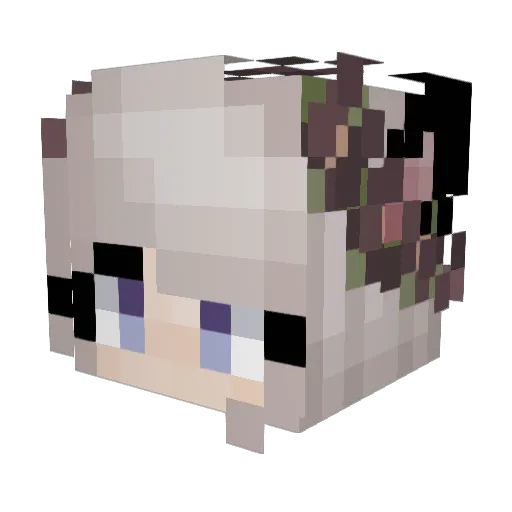 blattodeabug Minecraft avatar head, 3D render