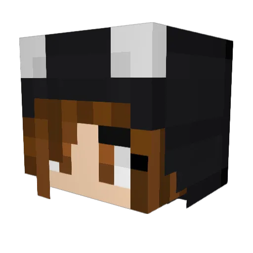 blaubeermuffin_ Minecraft avatar head, 3D render