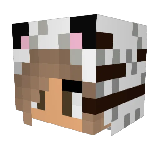blaubuche Minecraft avatar head, 3D render