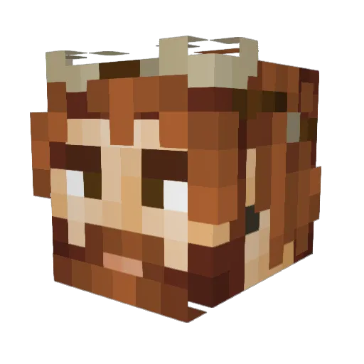 blaueswunder Minecraft avatar head, 3D render