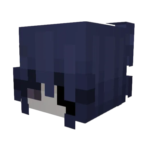 blaykis Minecraft avatar head, 3D render