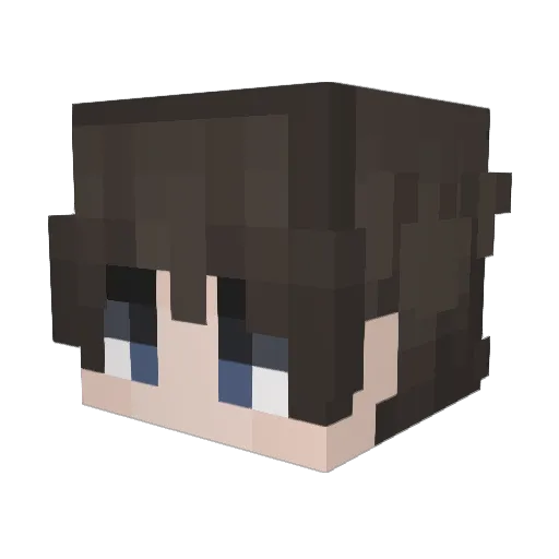 blaze11417 Minecraft avatar head, 3D render
