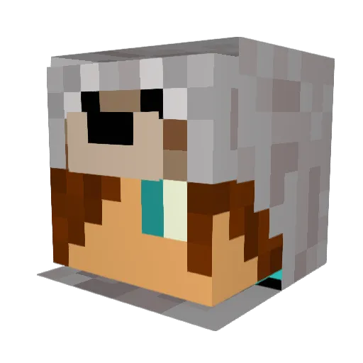 blaze11566 Minecraft avatar head, 3D render