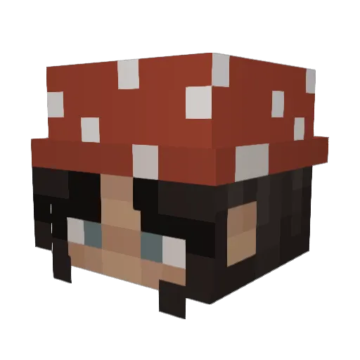blaze_53 Minecraft avatar head, 3D render